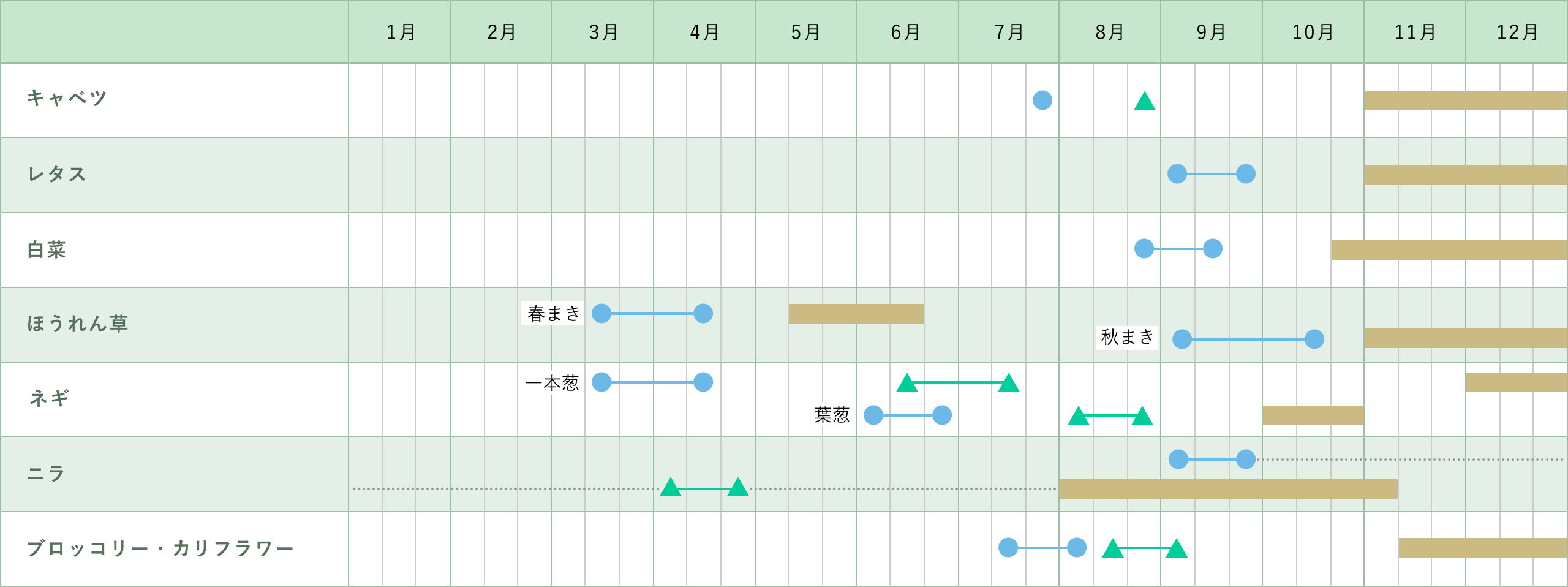 葉菜類（葉を食べる野菜）の表