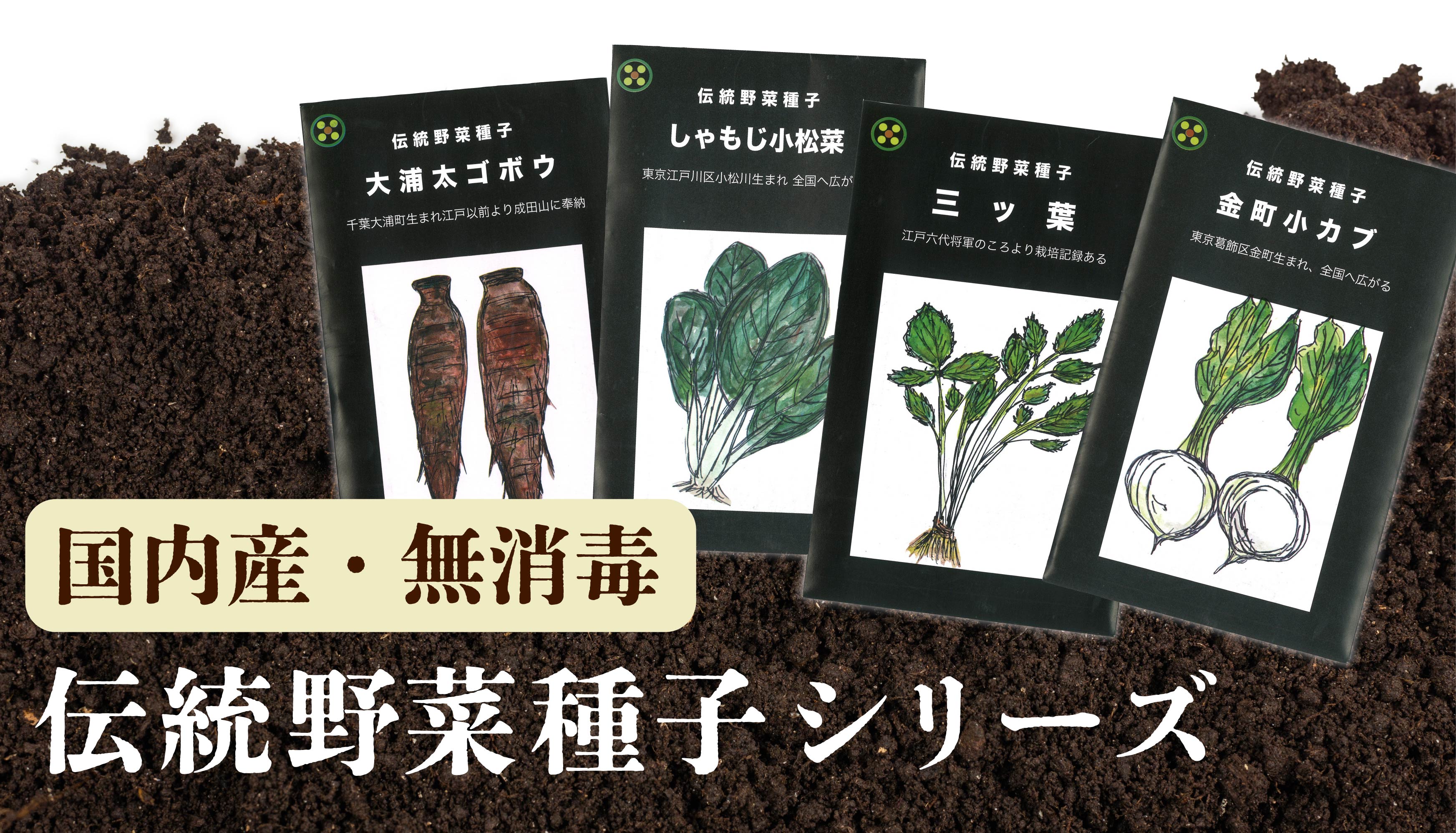 伝統野菜種子