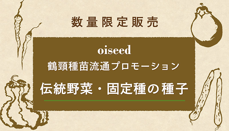 鶴頸種苗の春タネ入荷