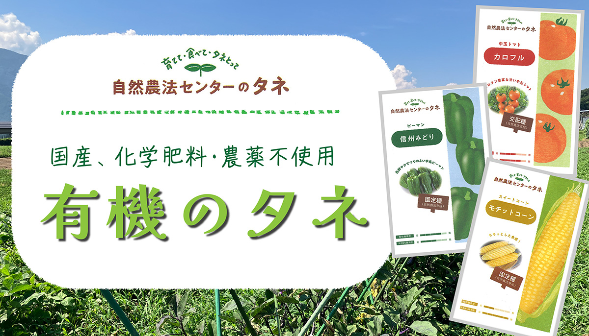 春まきの有機のタネ入荷