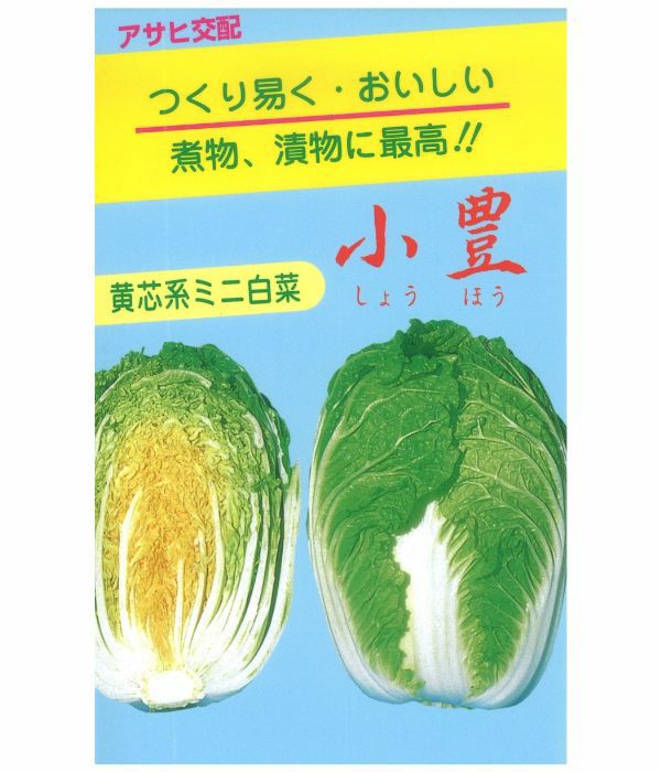 アサヒ交配 小豊(ハクサイの種)|固定種 在来種に強い 野菜のタネ専門 アサヒ交配 小豊(ハクサイの種)|固定種 在来種に強い 野菜のタネ専門