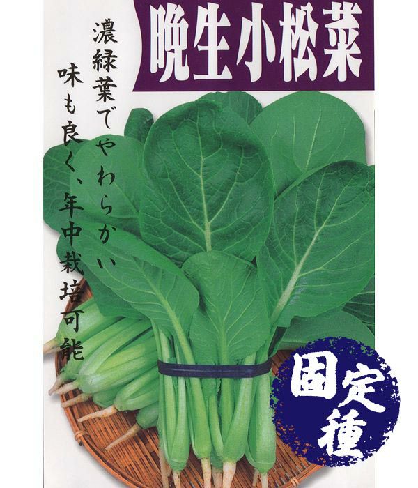 アサヒ育成 サラしゃぶ春菊（シュンギクの種）|固定種 在来種に強い