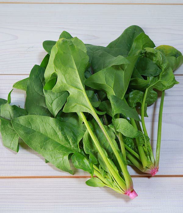 次郎丸（ほうれん草の種）【固定種】|固定種 在来種に強い 野菜のタネ