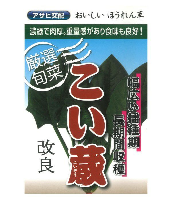 アサヒ交配 改良こい蔵（ほうれん草の種）|固定種 在来種に強い 野菜の