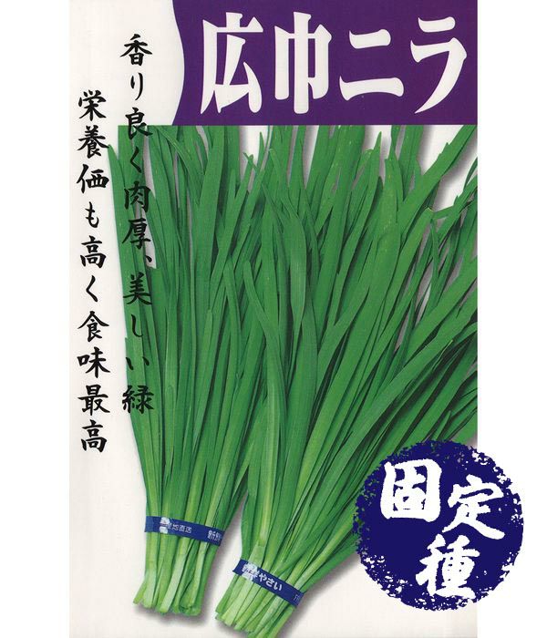 次郎丸（ほうれん草の種）【固定種】|固定種 在来種に強い 野菜のタネ
