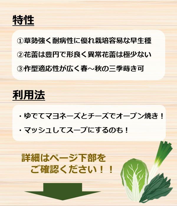 野崎早生花椰菜（カリフラワーの種）|固定種 在来種に強い 野菜のタネ