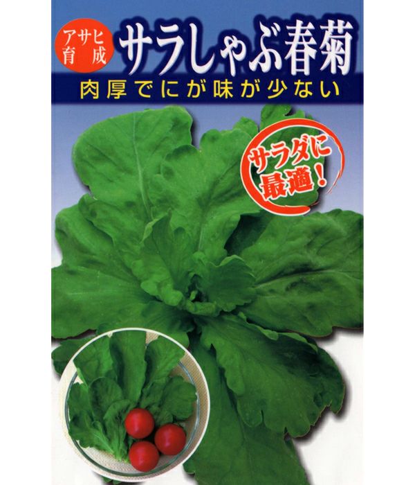 アサヒ育成 サラしゃぶ春菊（シュンギクの種）|固定種 在来種に強い