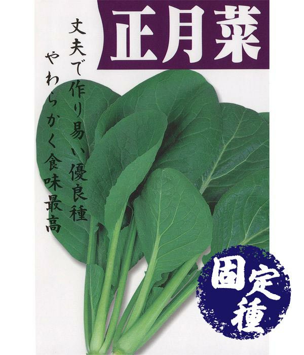 お多福春菊（シュンギクの種）【固定種】|固定種 在来種に強い 野菜の