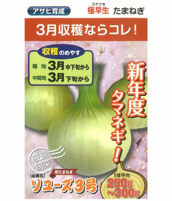 アサヒ育成 ソユーズ3号（たまねぎの種）|固定種 在来種に強い 野菜の