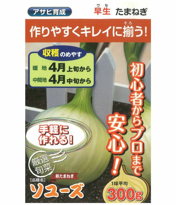 アサヒ育成 ソユーズ（たまねぎの種）|固定種 在来種に強い 野菜のタネ
