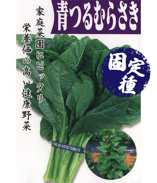 青つるむらさき（葉菜類の種）【固定種】