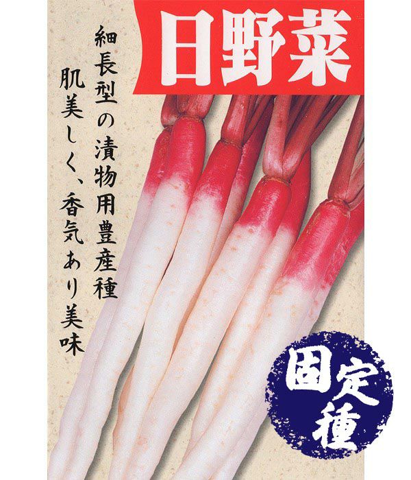 日野菜蕪（かぶの種）【固定種】|固定種 在来種に強い 野菜のタネ専門