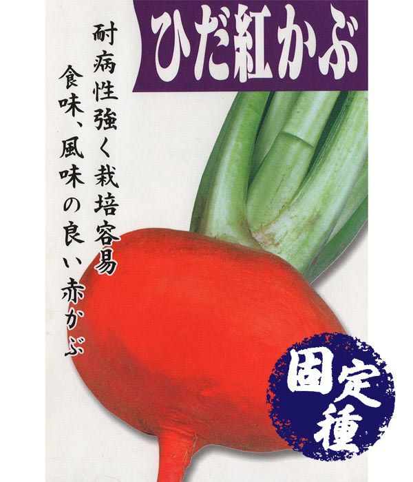 飛騨紅蕪（かぶの種）【固定種】|固定種 在来種に強い 野菜の