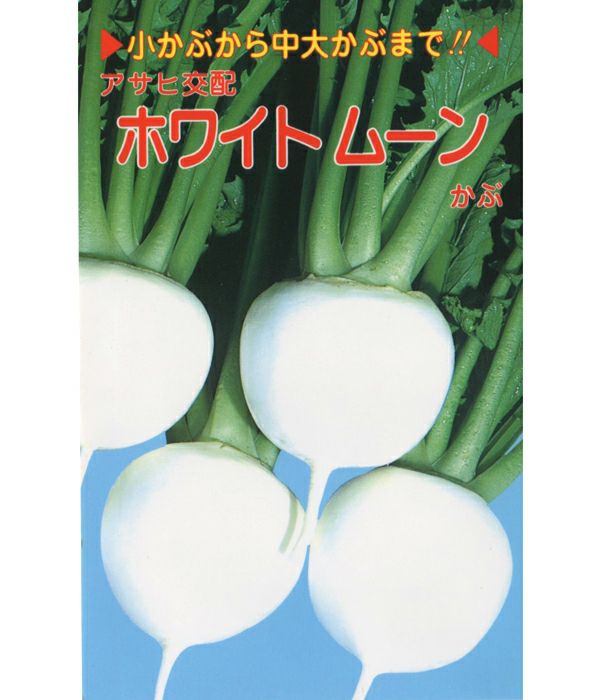 アサヒ交配 ホワイトムーン蕪（かぶの種）|固定種 在来種に強い 野菜の