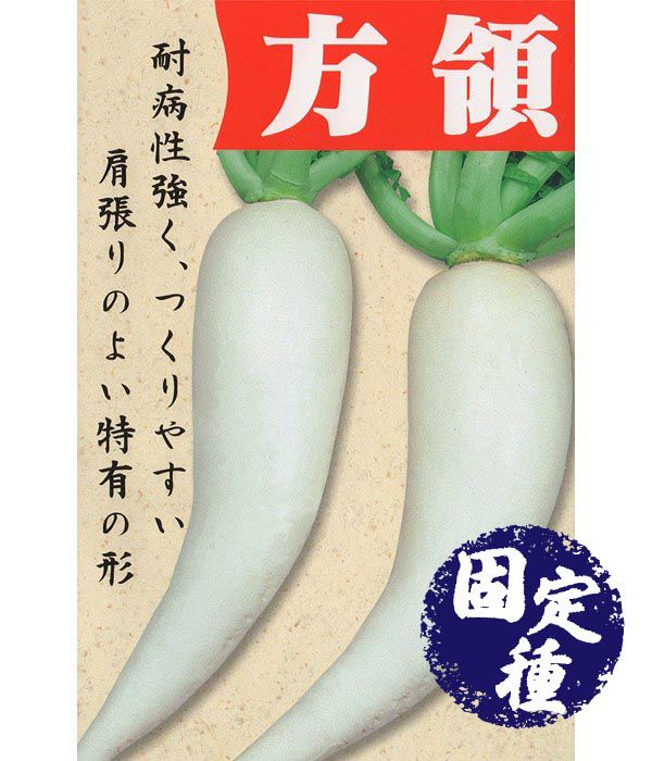 アサヒ交配 大豪大根（だいこんの種）|固定種 在来種に強い 野菜のタネ