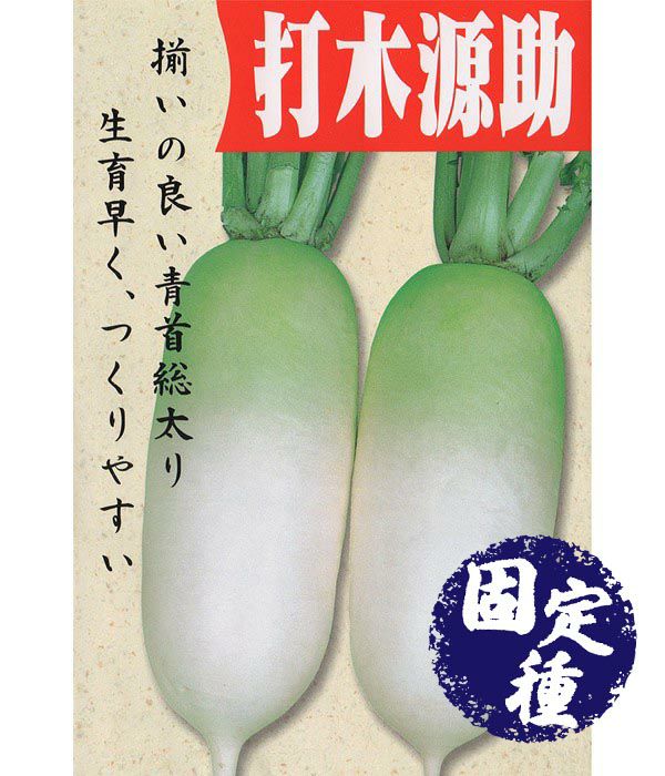 打木源助大根