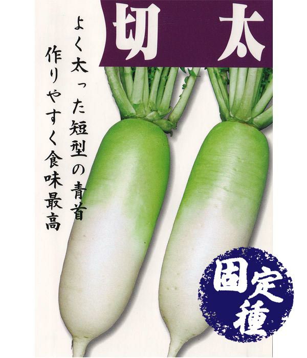 切太大根（だいこんの種）【固定種】|固定種 在来種に強い 野菜のタネ