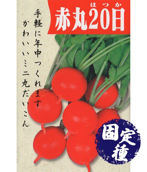 時なし八寸人参（にんじんの種）【固定種】|固定種 在来種に強い 野菜