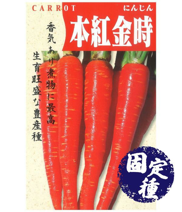 時なし五寸人参（にんじんの種）【固定種】|固定種 在来種に強い 野菜