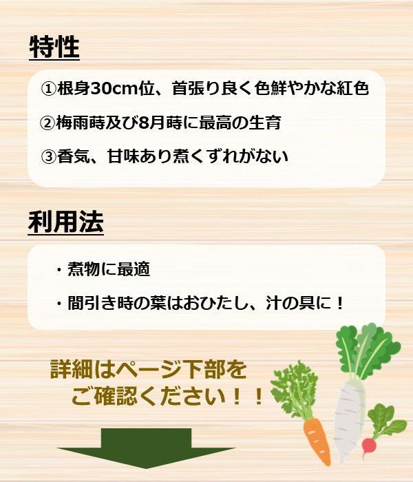 本紅金時人参（にんじんの種）【固定種】|固定種 在来種に強い 野菜の
