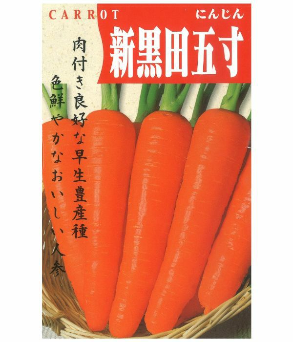 アサヒ育成 新黒田五寸人参（にんじんの種）|固定種 在来種に強い 野菜