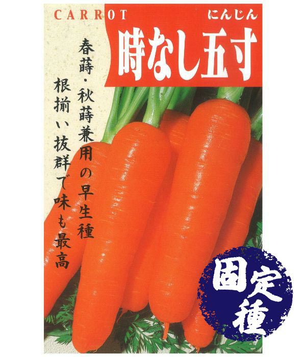 時なし五寸人参（にんじんの種）【固定種】