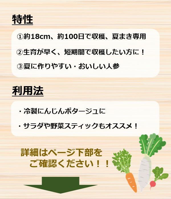 アサヒ育成 旭光夏蒔五寸人参（にんじんの種）|固定種 在来種に強い