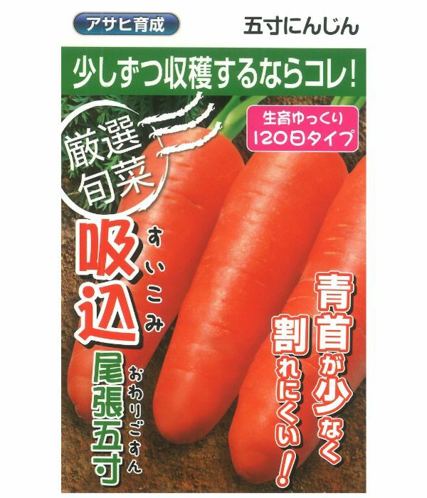 アサヒ育成 吸込尾張五寸人参（にんじんの種）|固定種 在来種に強い