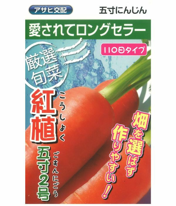 アサヒ交配 紅植五寸2号人参（にんじんの種）|固定種 在来種に強い