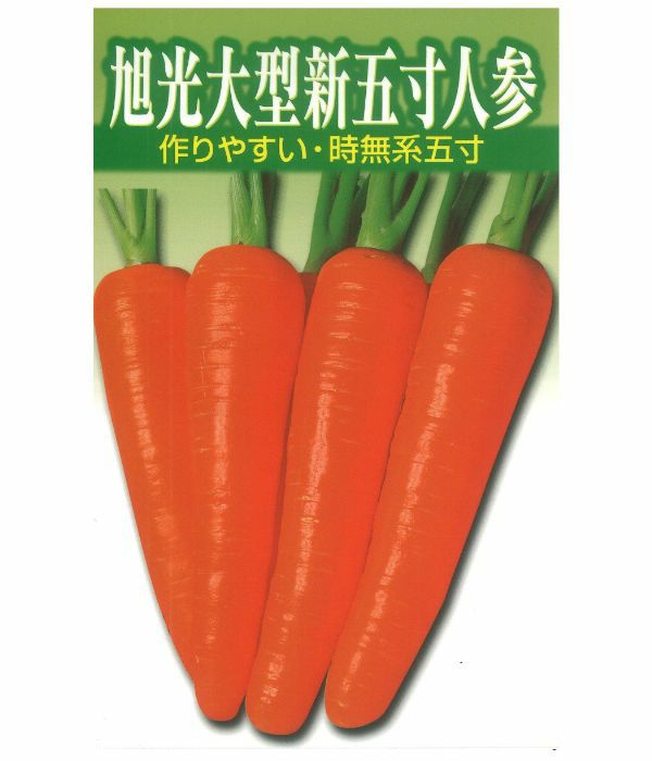 アサヒ育成 旭光大型新五寸人参（にんじんの種）|固定種 在来種に強い