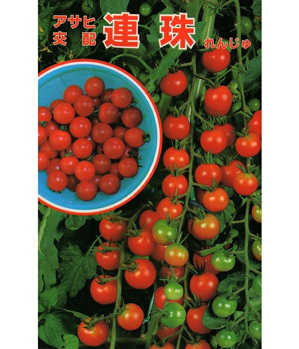 アサヒ交配 連珠（トマトの種）|固定種 在来種に強い 野菜のタネ専門