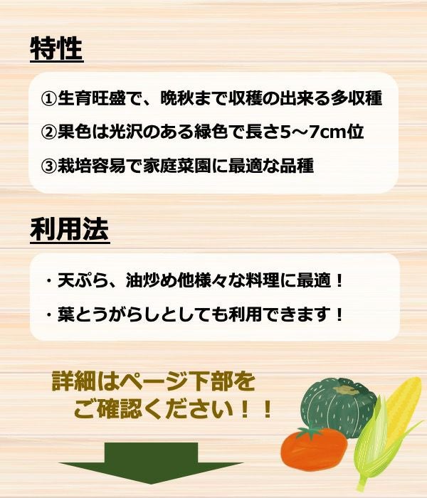 早生ししとう（ししとうの種）【固定種】|固定種 在来種に強い 野菜の