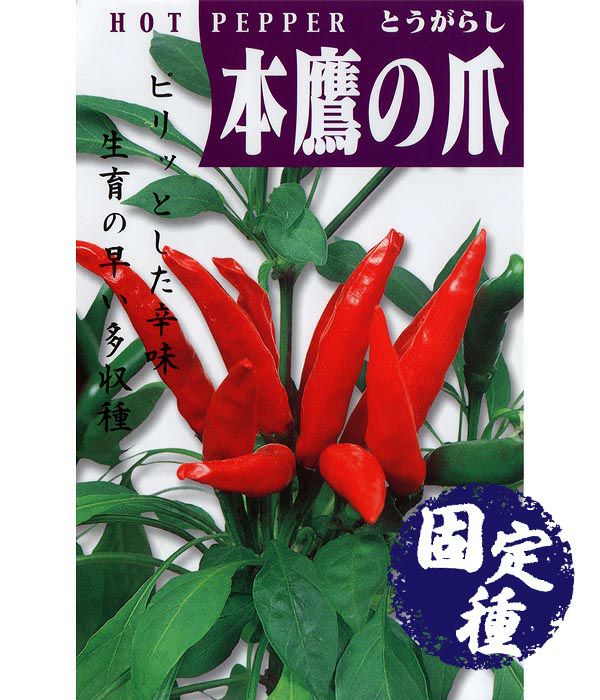 早生ししとう（ししとうの種）【固定種】|固定種 在来種に強い 野菜の