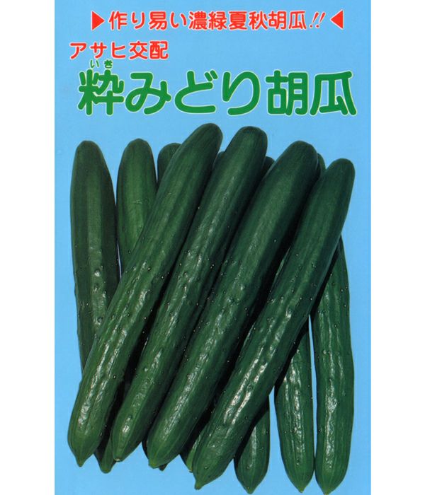 アサヒ交配 粋みどり胡瓜（キュウリの種）|固定種 在来種に強い 野菜の