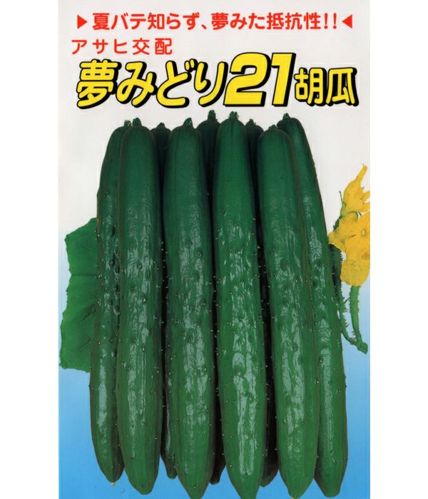 きゅうり アサヒ交配 夢みどり21胡瓜（キュウリの種）|固定種 在来種に強い
