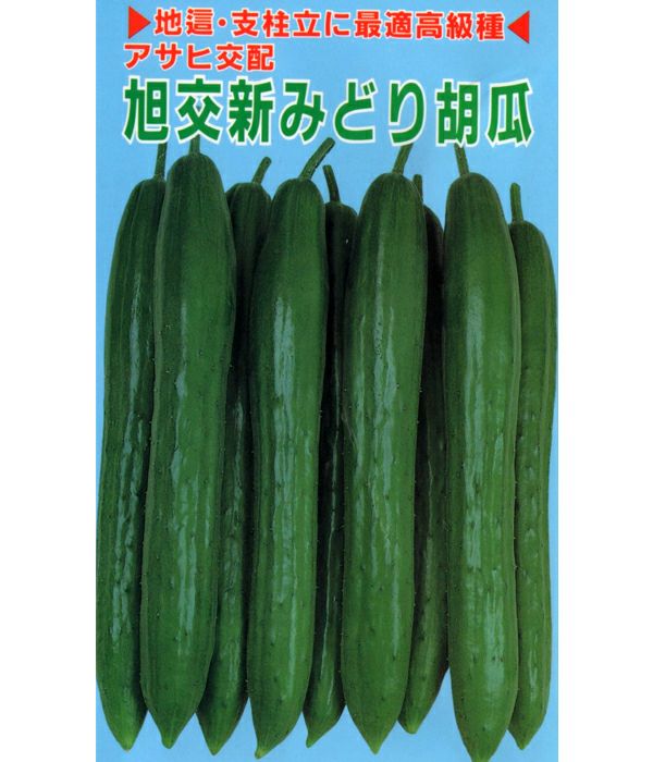 アサヒ交配 旭交新みどり胡瓜（キュウリの種）|固定種 在来種に強い