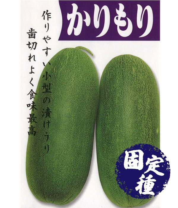 かりもり（漬瓜・白瓜の種）【固定種】|固定種 在来種に強い 野菜の