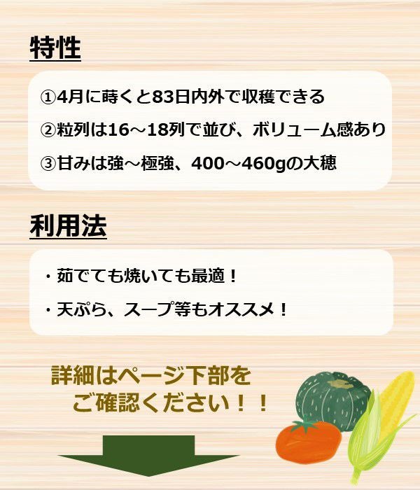 一代交配 フォースターとうもろこし（トウモロコシの種）|固定種 在来