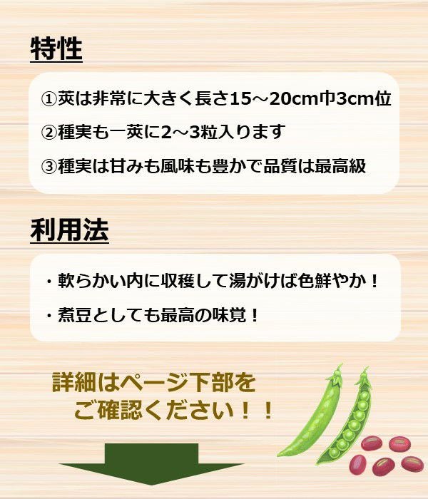 一寸蚕豆（そら豆の種）【固定種】|固定種 在来種に強い 野菜のタネ