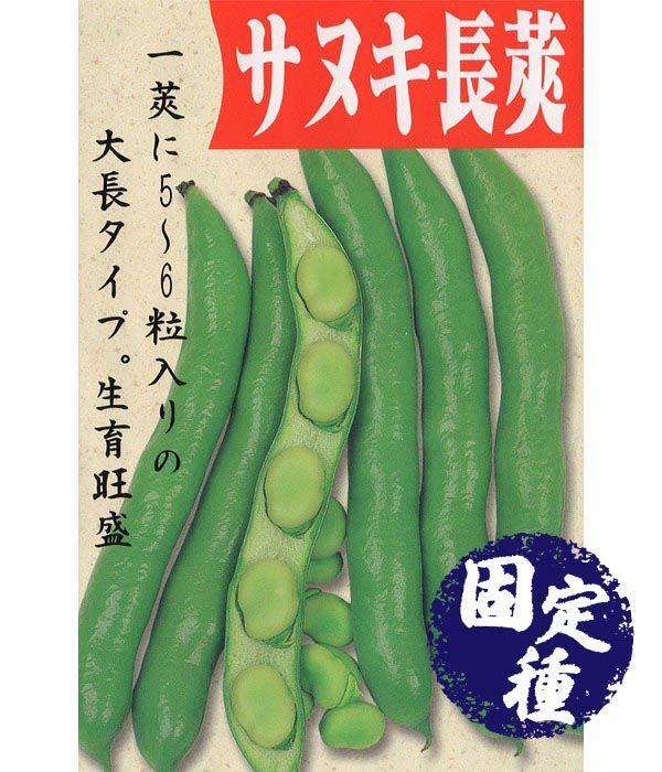 そら豆|固定種 在来種に強い 野菜のタネ専門通販サイト|アサヒのぐるたね