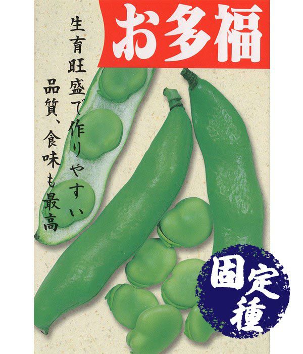 千成兵丹（非食用）（ひょうたんの種）【固定種】|固定種 在来種に強い