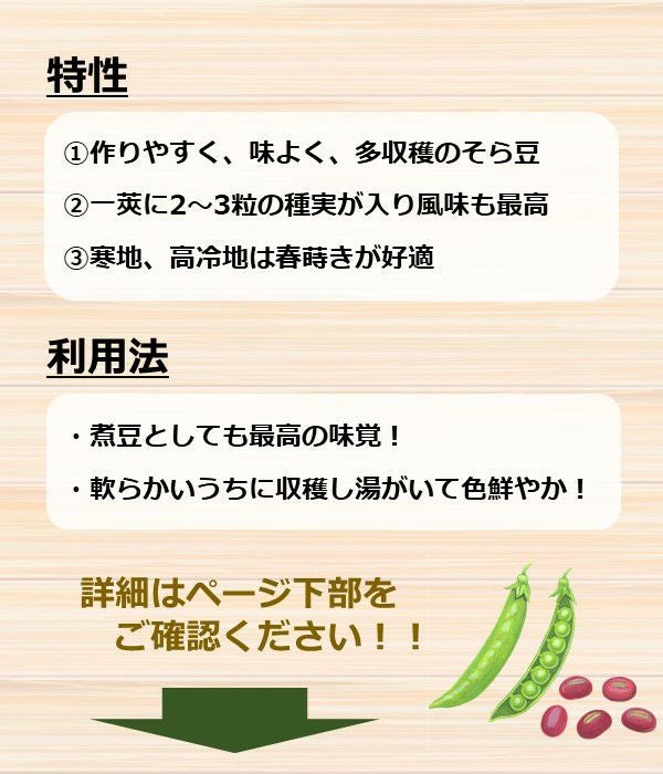 お多福蚕豆（そら豆の種）【固定種】|固定種 在来種に強い 野菜のタネ