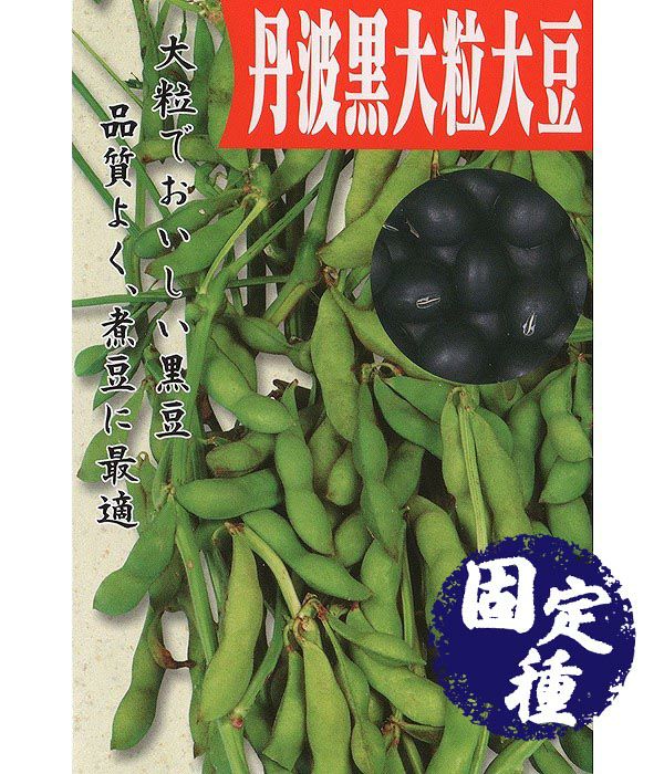 固定種 在来種に強い 野菜の種専門通販 アサヒのぐるたね