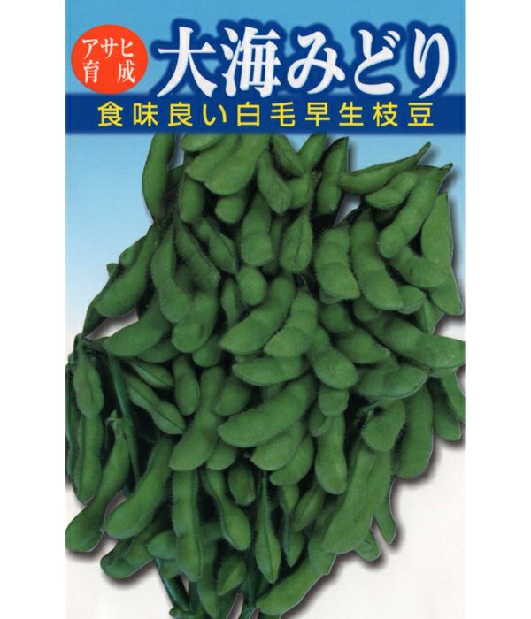 アサヒ育成 大海みどり枝豆（エダマメの種）|固定種 在来種に強い 野菜