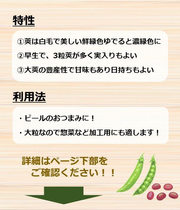 アサヒ育成 大海みどり枝豆（エダマメの種）|固定種 在来種に強い 野菜