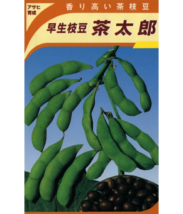 アサヒ育成 大粒 めぐろ王（枝豆の種）|固定種 在来種に強い 野菜の