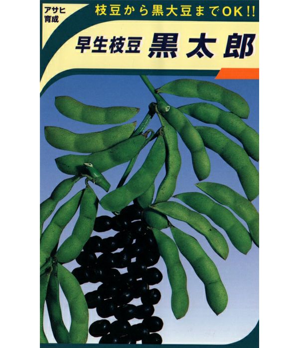 アサヒ育成 黒太郎枝豆（エダマメの種）|固定種 在来種に強い 野菜の