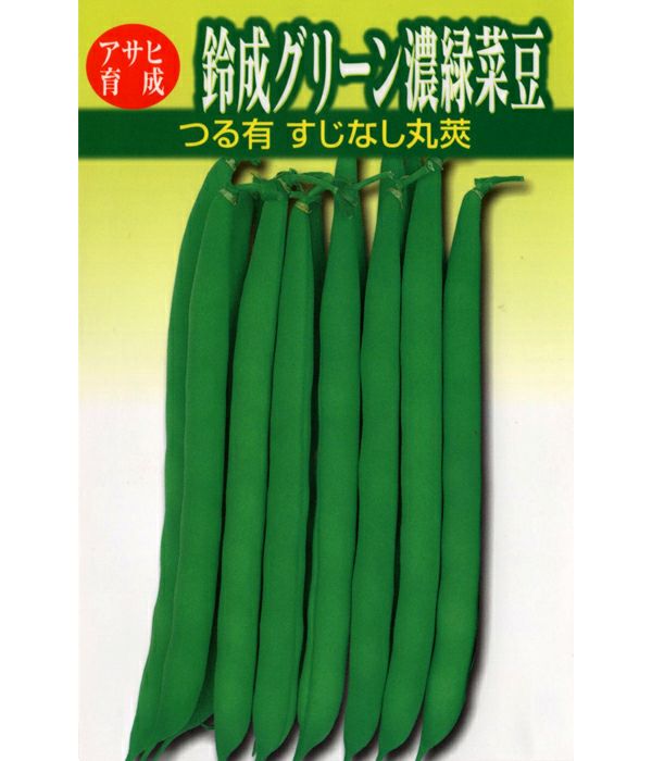 アサヒ育成 鈴成グリーン濃緑菜豆（インゲンの種）|固定種 在来種に