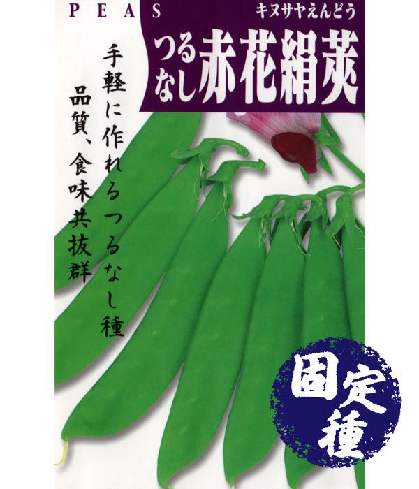 000000000179-01.jpg?size=l&w=