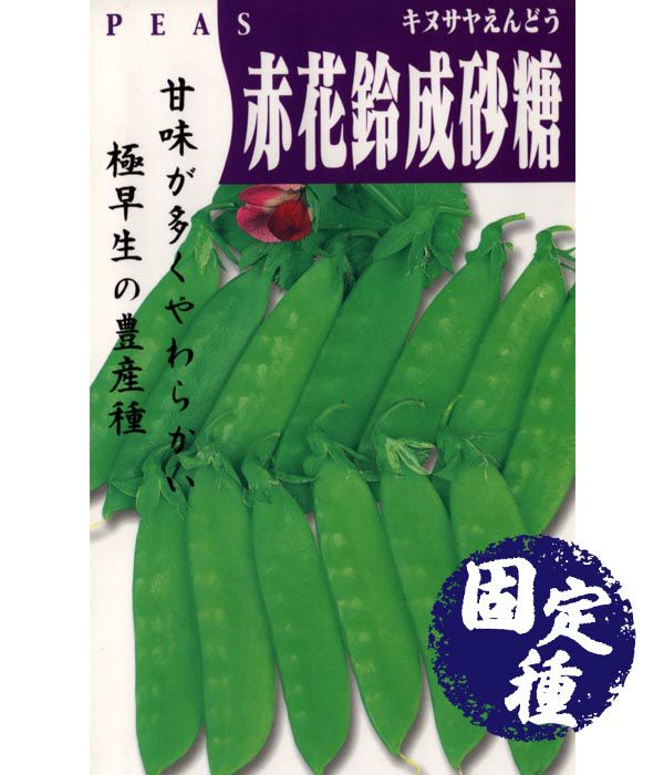 えんどう豆|固定種 在来種に強い 野菜のタネ専門通販サイト|アサヒの